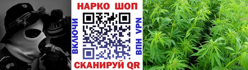 Купить закладку Cocaine Альфа ПВП Меф Гашиш Бошки Шишки Шахунья