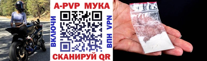 Купить закладки  Шахунья  А ПВП крисы CK 