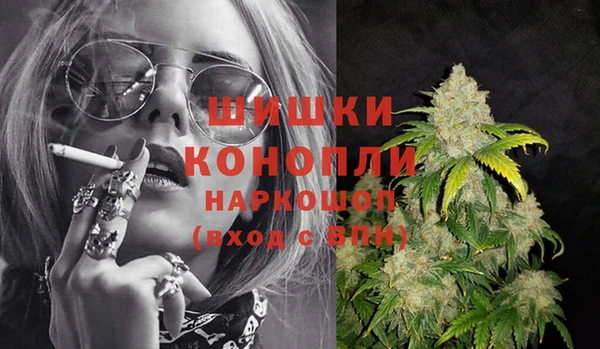 Альфа ПВП Осинники
