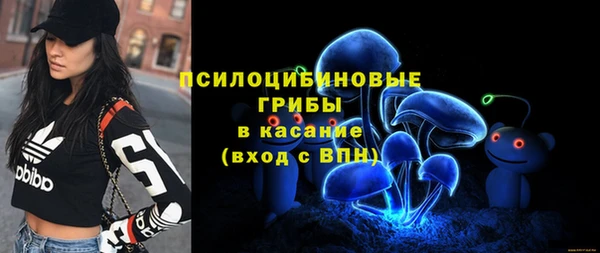 Альфа ПВП Осинники
