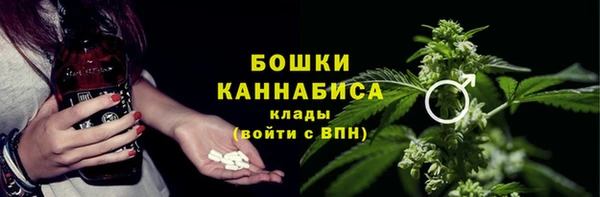 Альфа ПВП Осинники