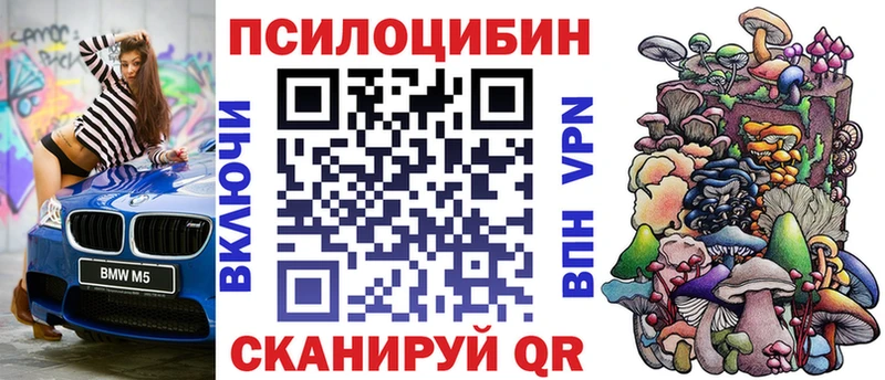 Псилоцибиновые грибы прущие грибы  Купить закладки  Шахунья 
